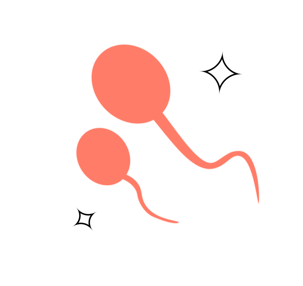 精子